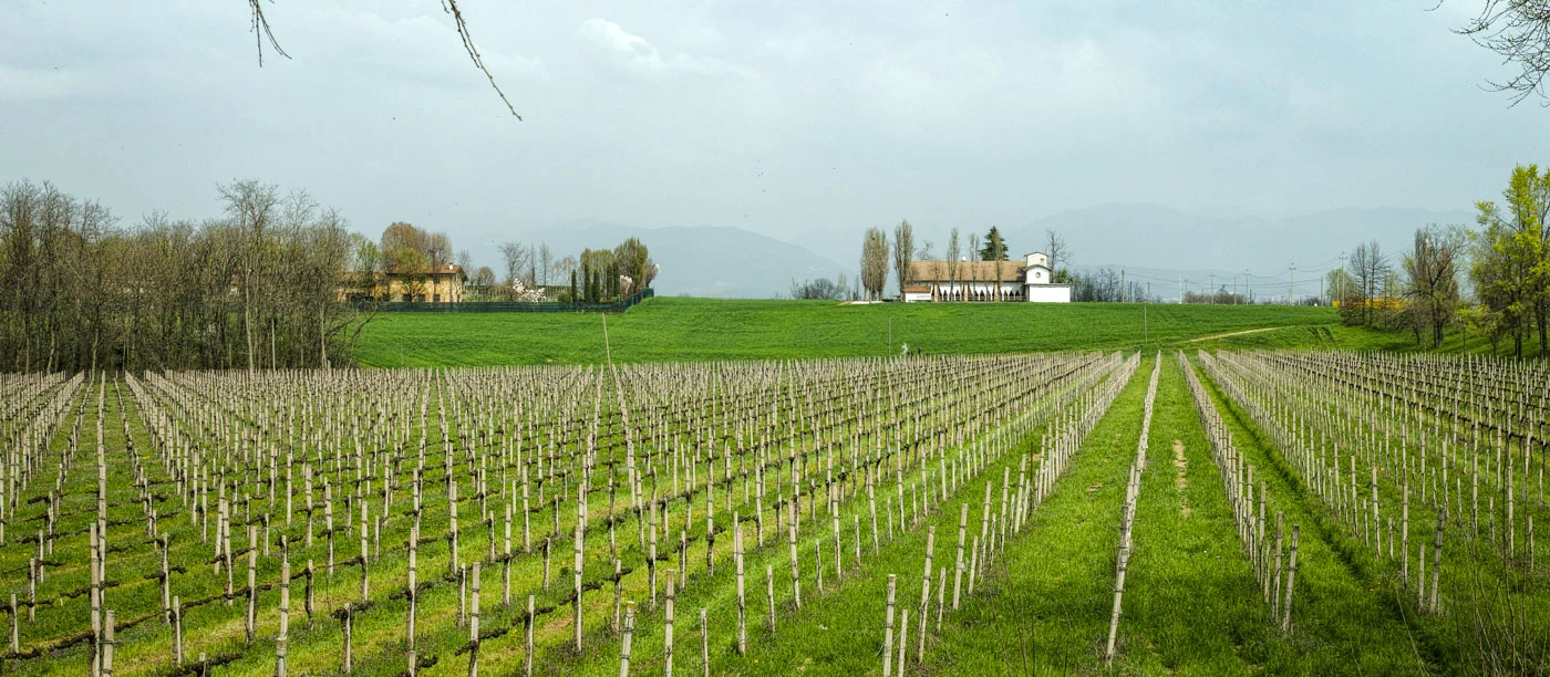 Stagioni a tavola - La Pastorella presso Cascina San Michele