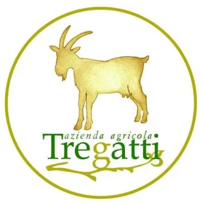 tre_gatti.jpeg